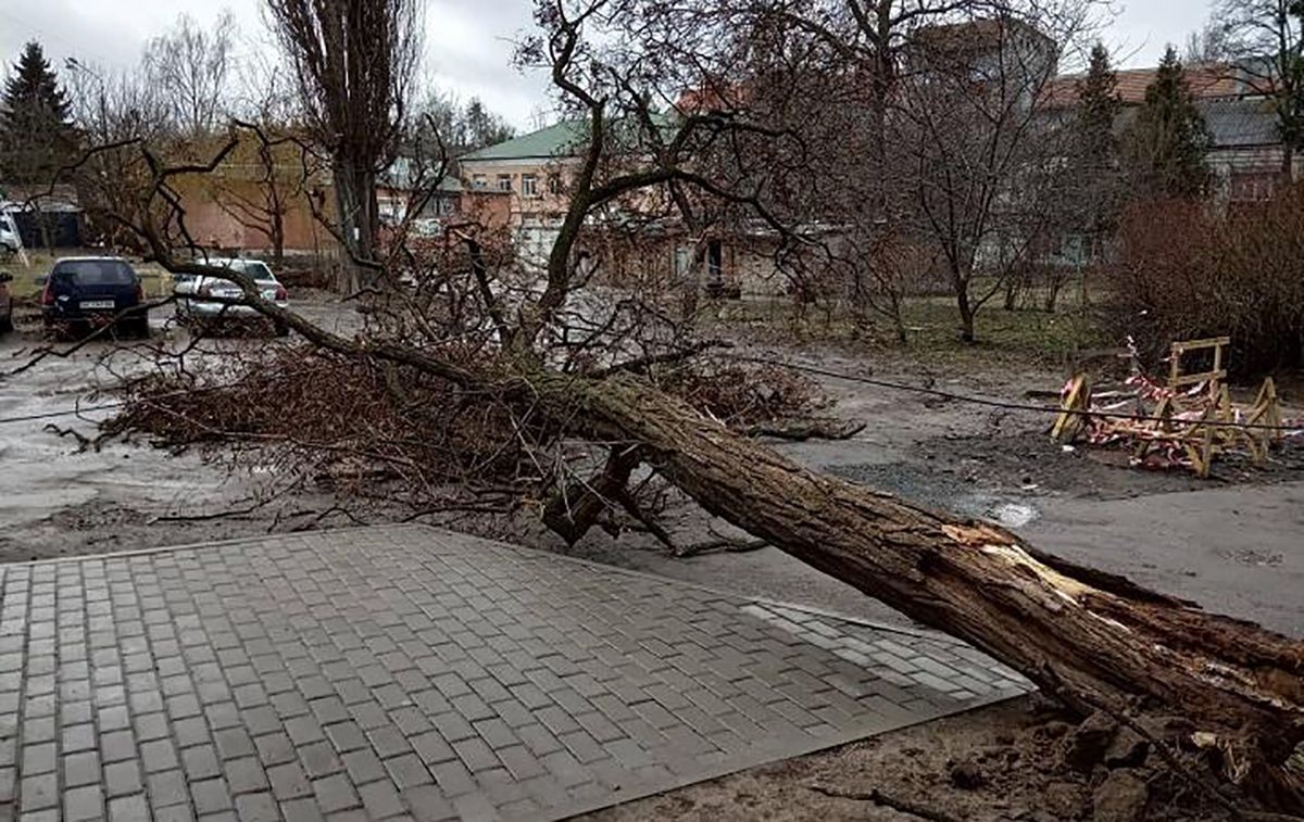 Сильний вітер наробив лиха в Україні: повалені дерева, зірвані дахи та людські жертви