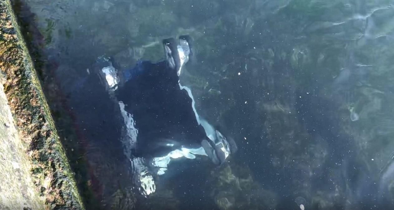 Потужний вітер в Одесі здув візок із дитиною в море: відео Потужний вітер в Одесі здув візок із дитиною в море: відео