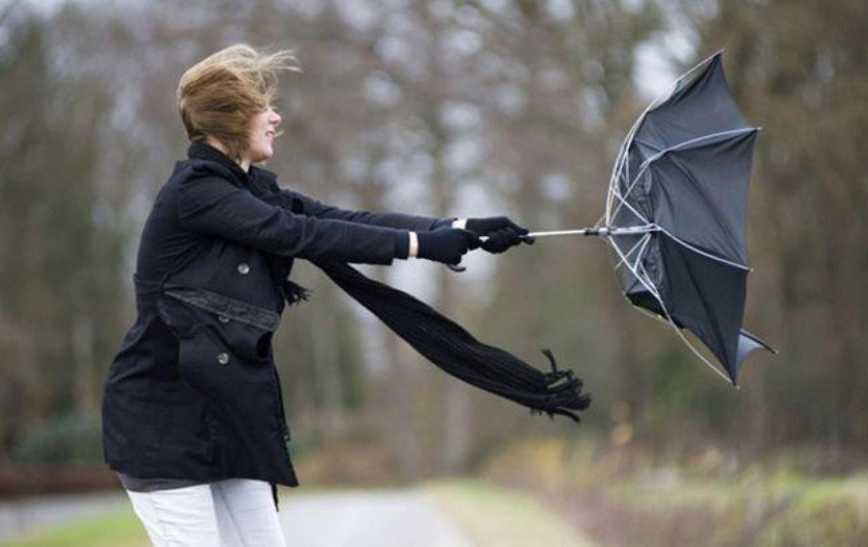 В Україні знову вируватиме шквальний вітер: де чекати негоду В Україні знову вируватиме шквальний вітер: де чекати негоду