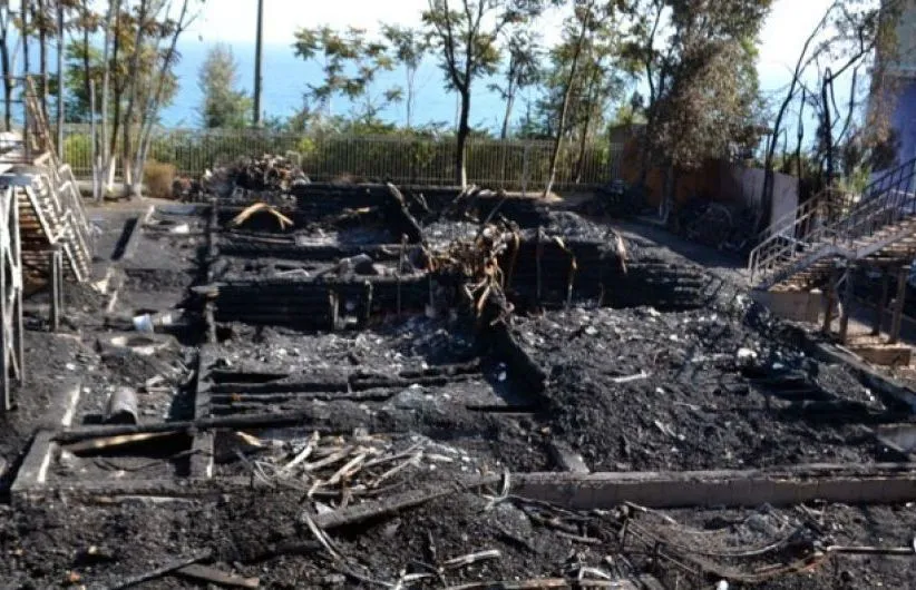 поежа в таборі вікторія поежа в таборі вікторія