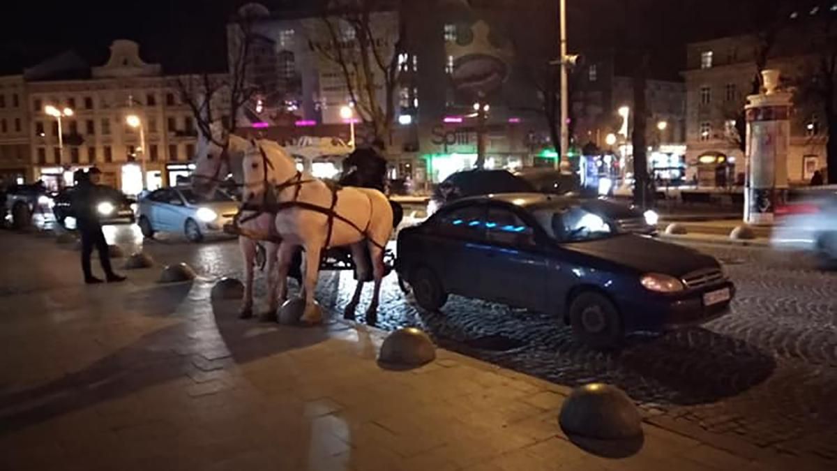 У центрі Львова карета з кіньми зіткнулась з Lanos: відео