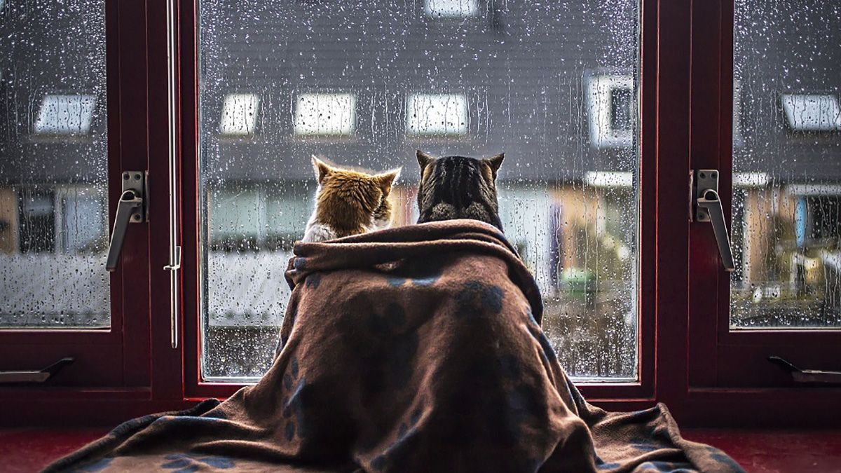 Погода 19 березня 2019 Україна - який прогноз погоди обіцяє синоптик Погода 19 березня 2019 Україна - який прогноз погоди обіцяє синоптик