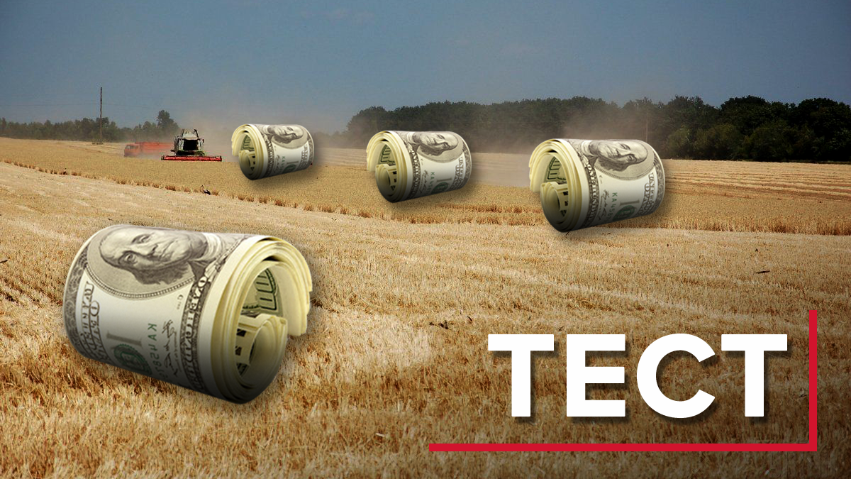  Мораторій на землю – що це, все про земельну реформу в Україні