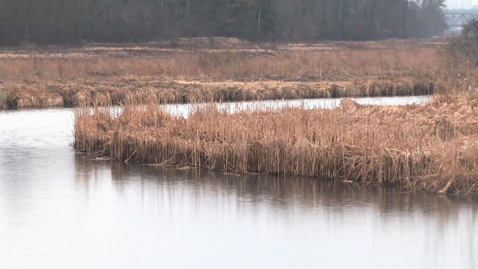 Під Києвом знищують заплаву унікальної річки Ірпінь: деталі Під Києвом знищують заплаву унікальної річки Ірпінь: деталі