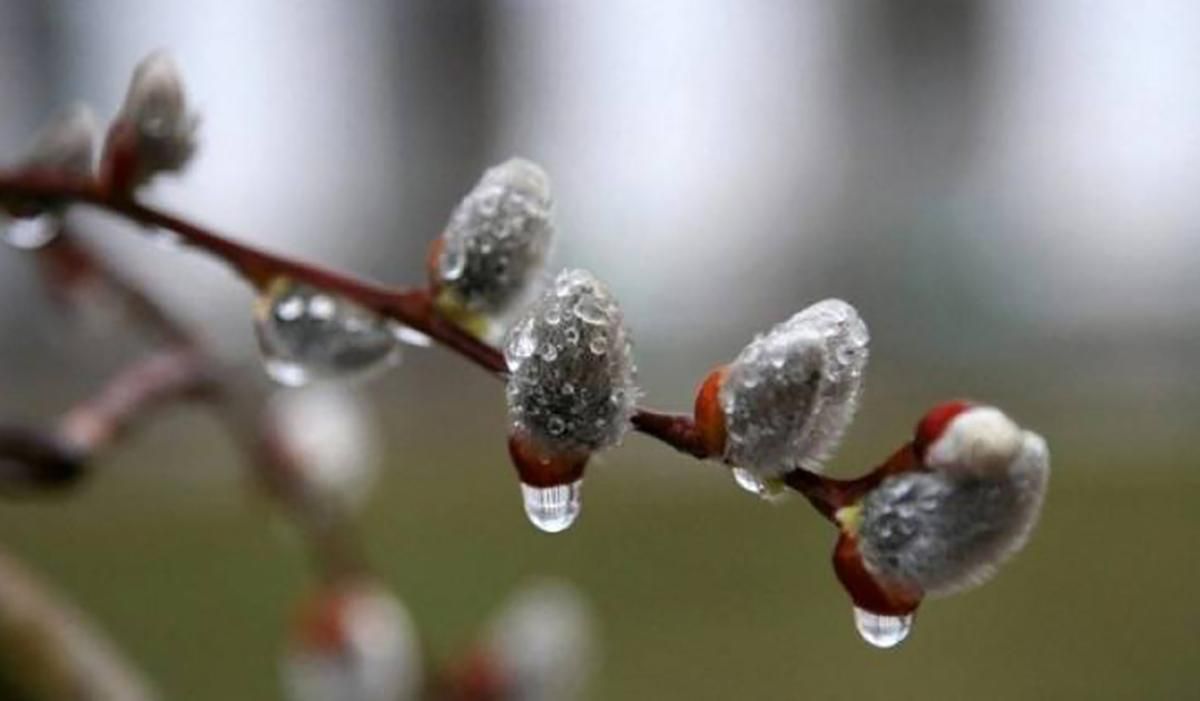 Погода 22 марта 2019 Украина - прогноз погоды синоптика Погода 22 марта 2019 Украина - прогноз погоды синоптика