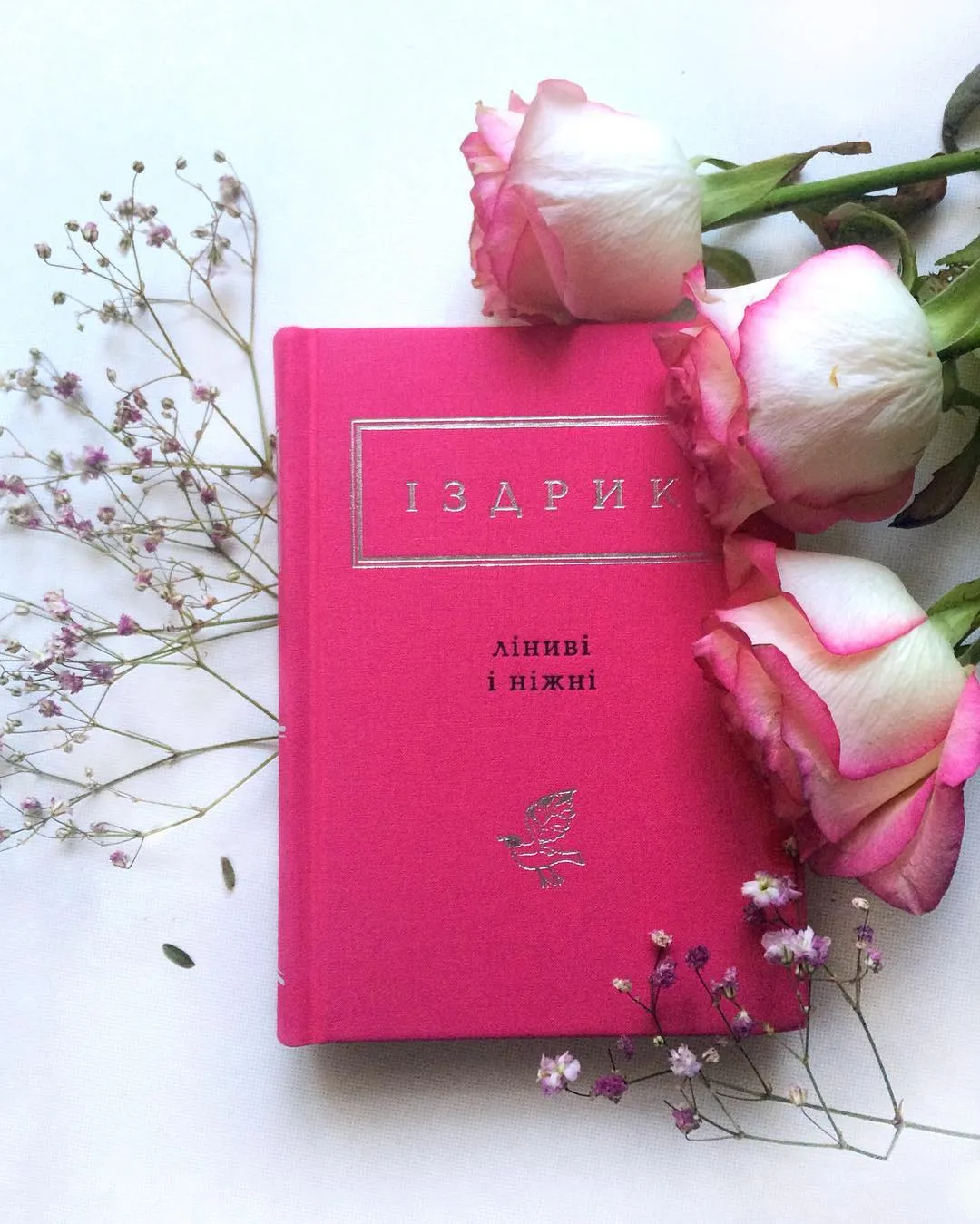 Вірші Іздрика Вірші Іздрика