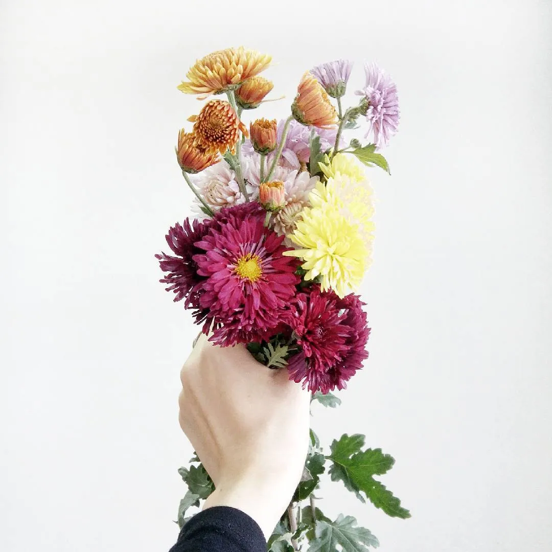 Лірика Леони Вишневської Лірика Леони Вишневської