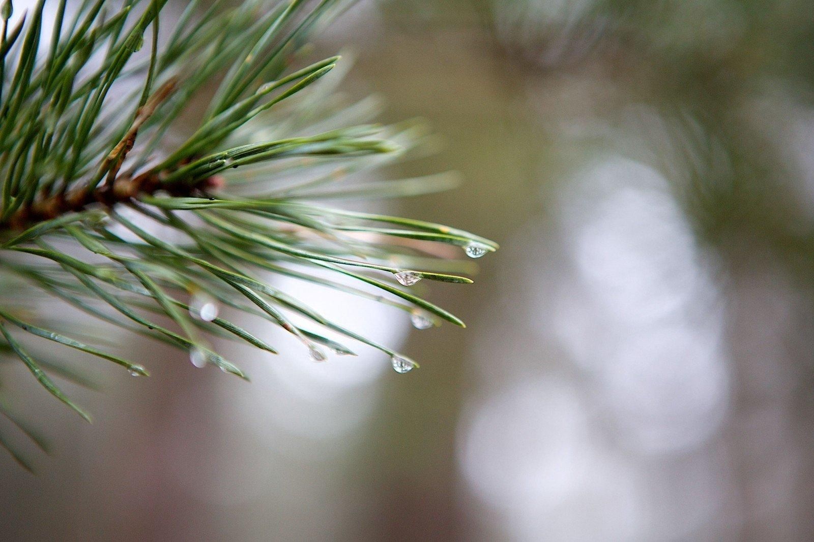 Погода 23 марта 2019 Украина - в некоторых облястях обещают мокрый снег Погода 23 марта 2019 Украина - в некоторых облястях обещают мокрый снег
