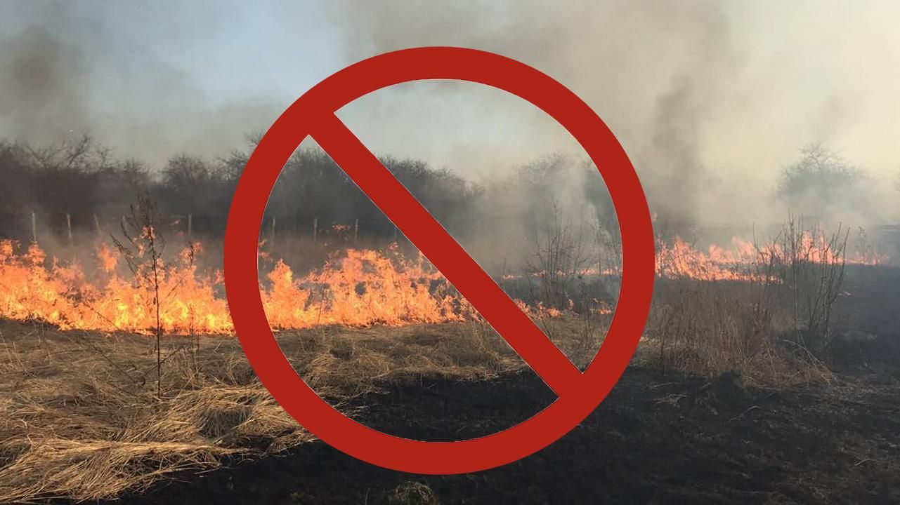 Що робити з сухою травою та листям: безпечні рішення Що робити з сухою травою та листям: безпечні рішення