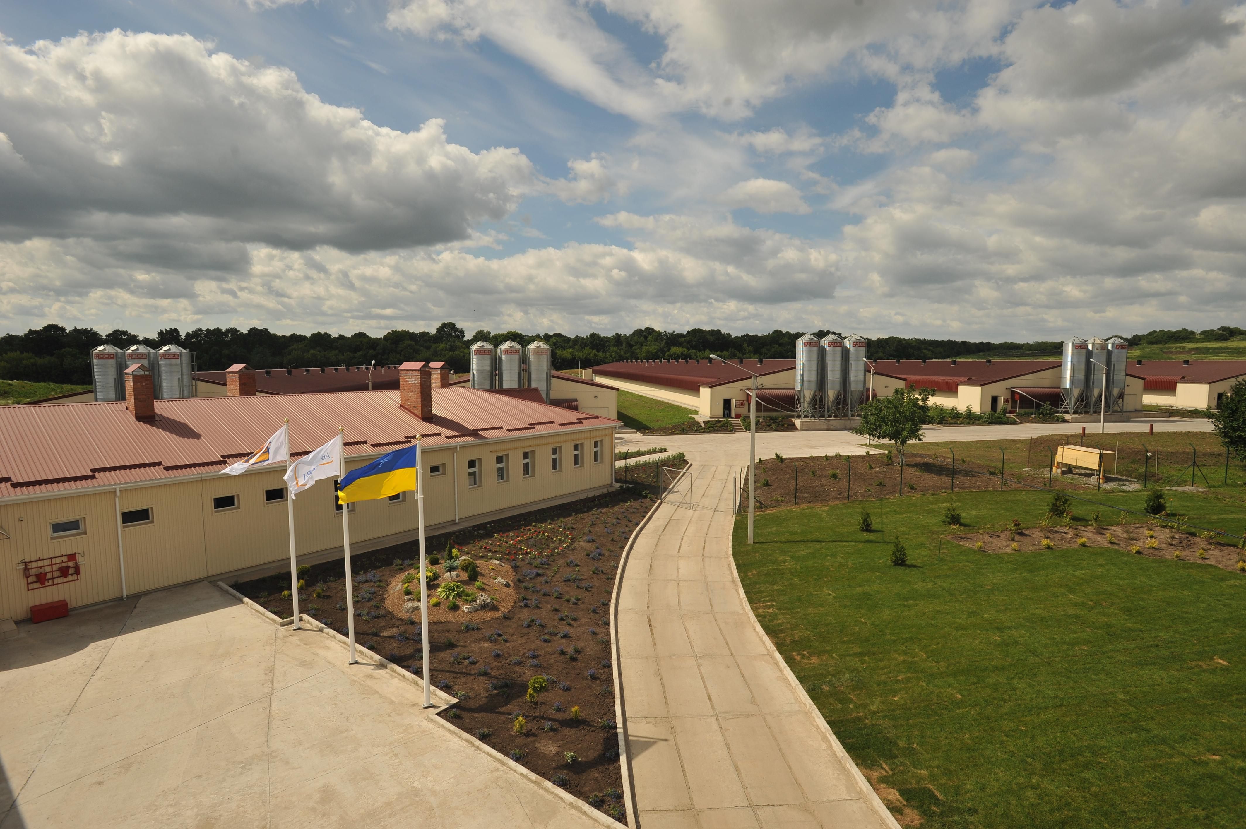 Ігор Петрашко: "Авангард" поставляє на зовнішні ринки 50% українських яєць Ігор Петрашко: "Авангард" поставляє на зовнішні ринки 50% українських яєць