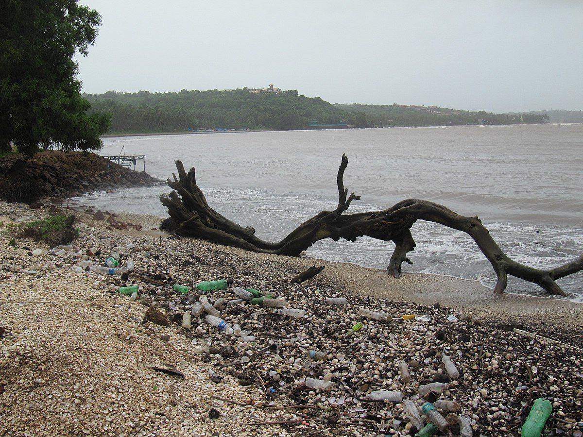 82 мешка мусора за полтора часа: как убирали побережье Днепра