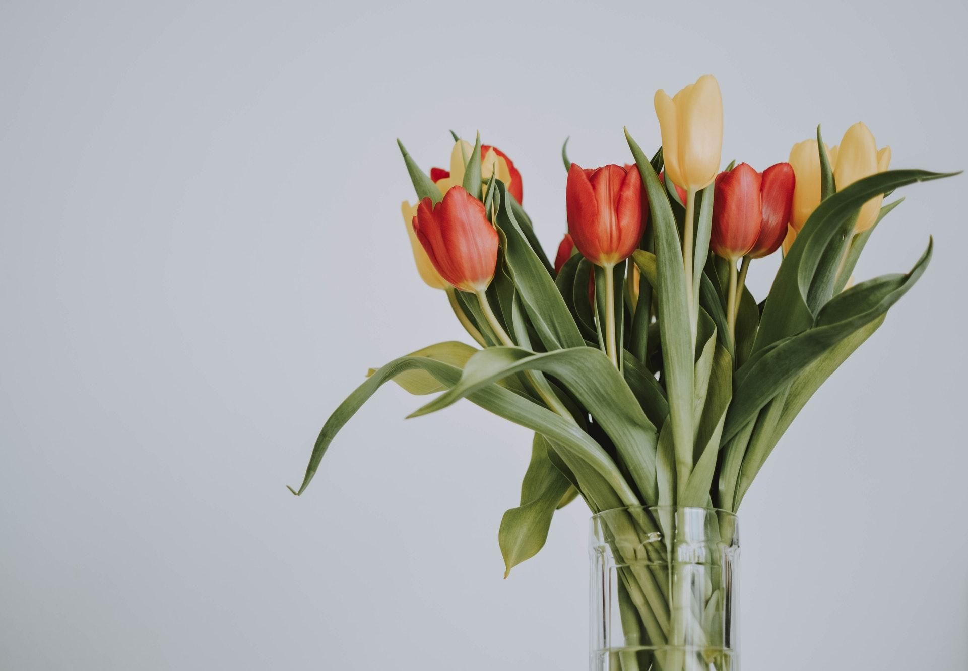 30 березня 2019 – яке свято в Україні та що не можна