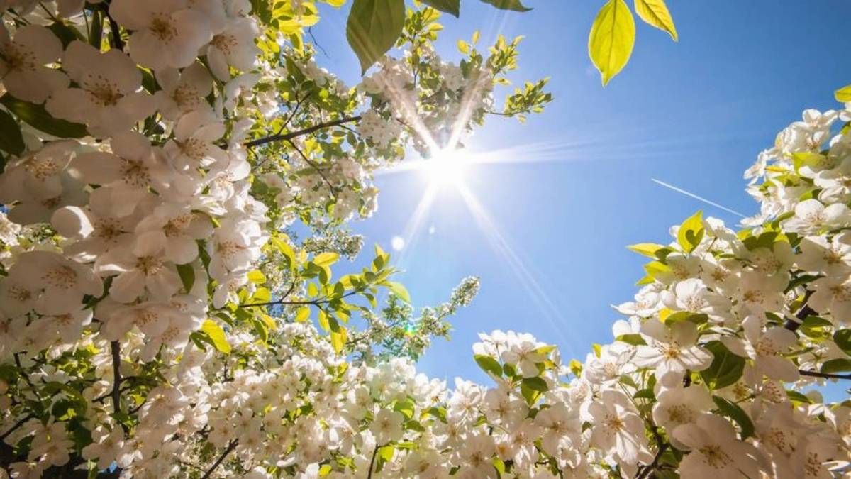 Весняна погода Весняна погода