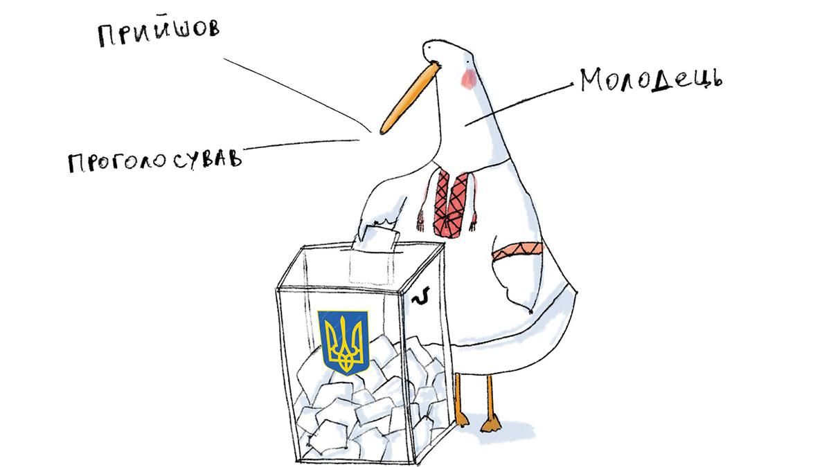 Гусь йде на вибори 2019 України - відео, як голосувати правильно