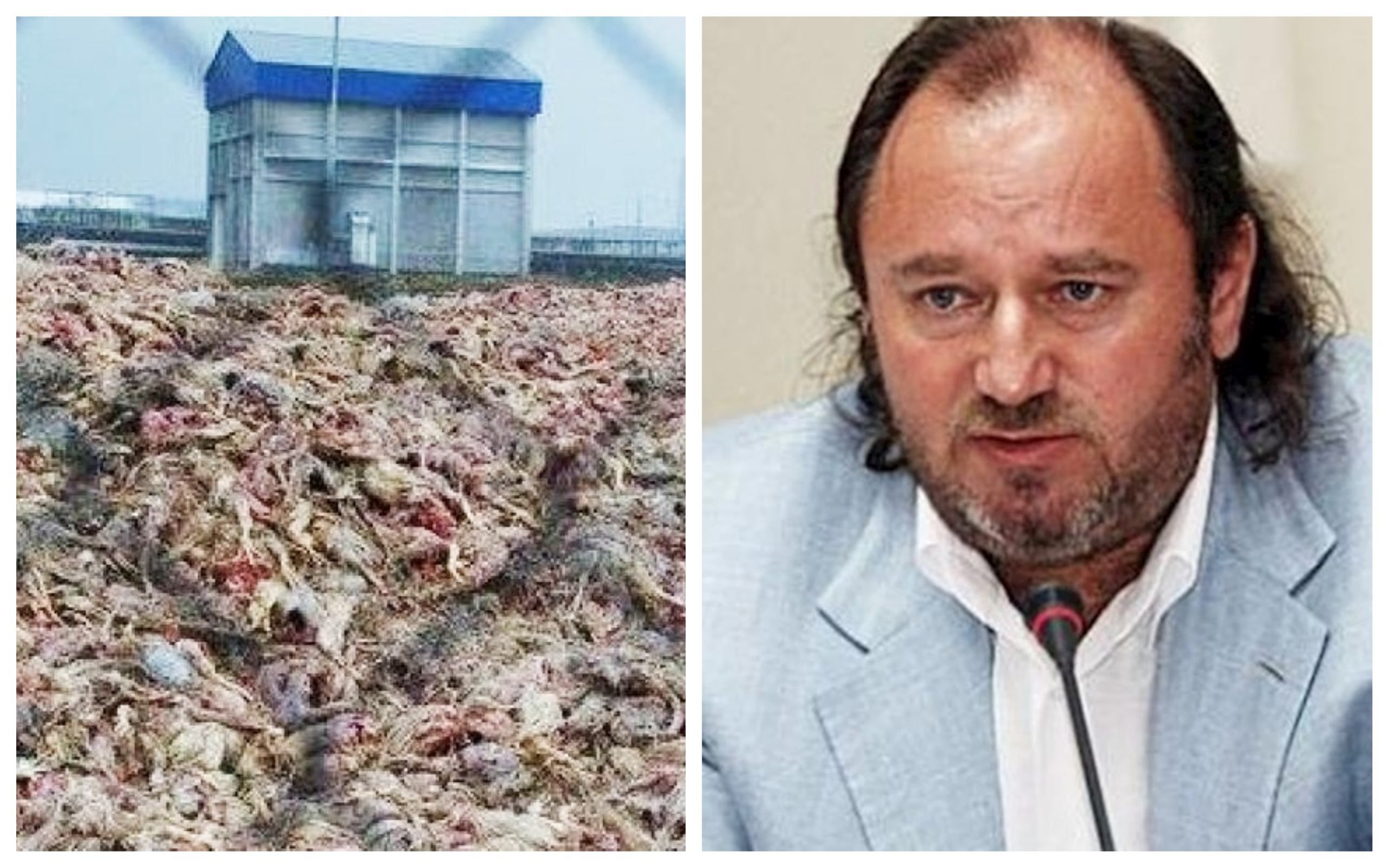 Справа про могильник "Гаврилівських курчат": власник-екс-регіонал вийшов сухим з води Справа про могильник "Гаврилівських курчат": власник-екс-регіонал вийшов сухим з води