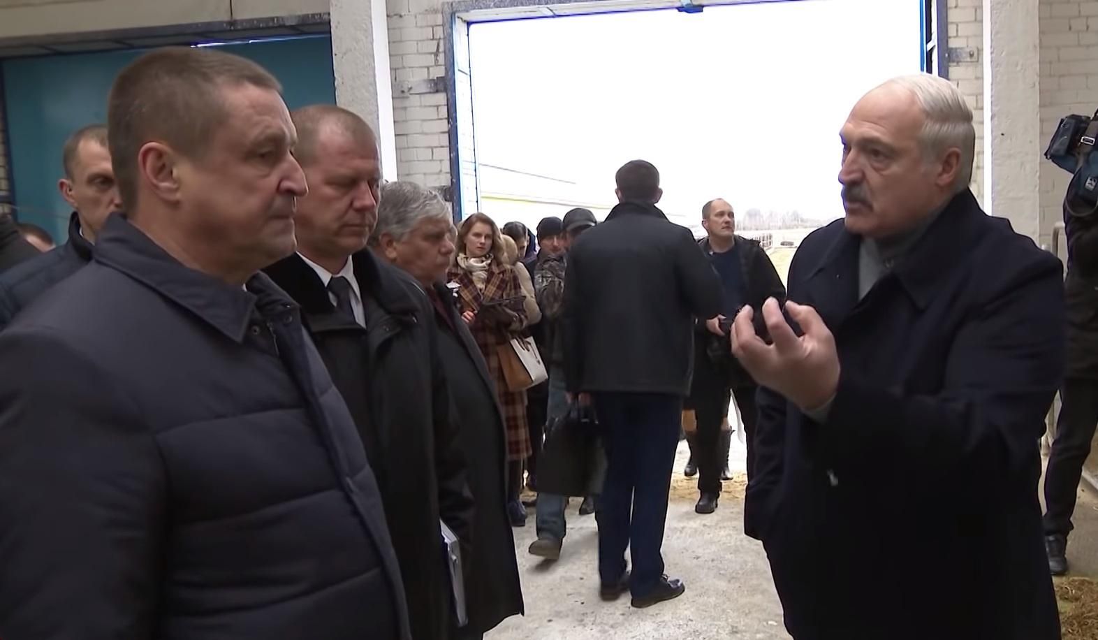 Лукашенко уволил вице-премьера, министра и губернатора за издевательства над коровами