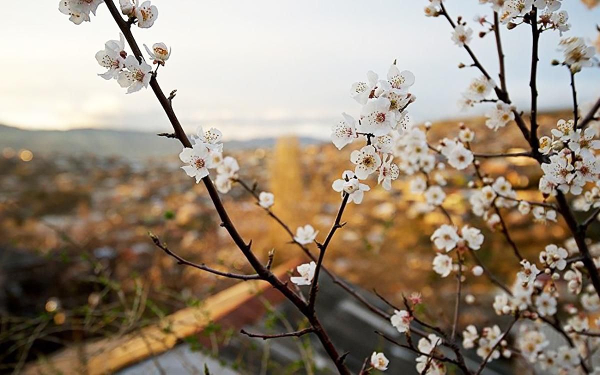 Погода 31 березня 2019 Україна - прогноз погоди від синоптика Погода 31 березня 2019 Україна - прогноз погоди від синоптика