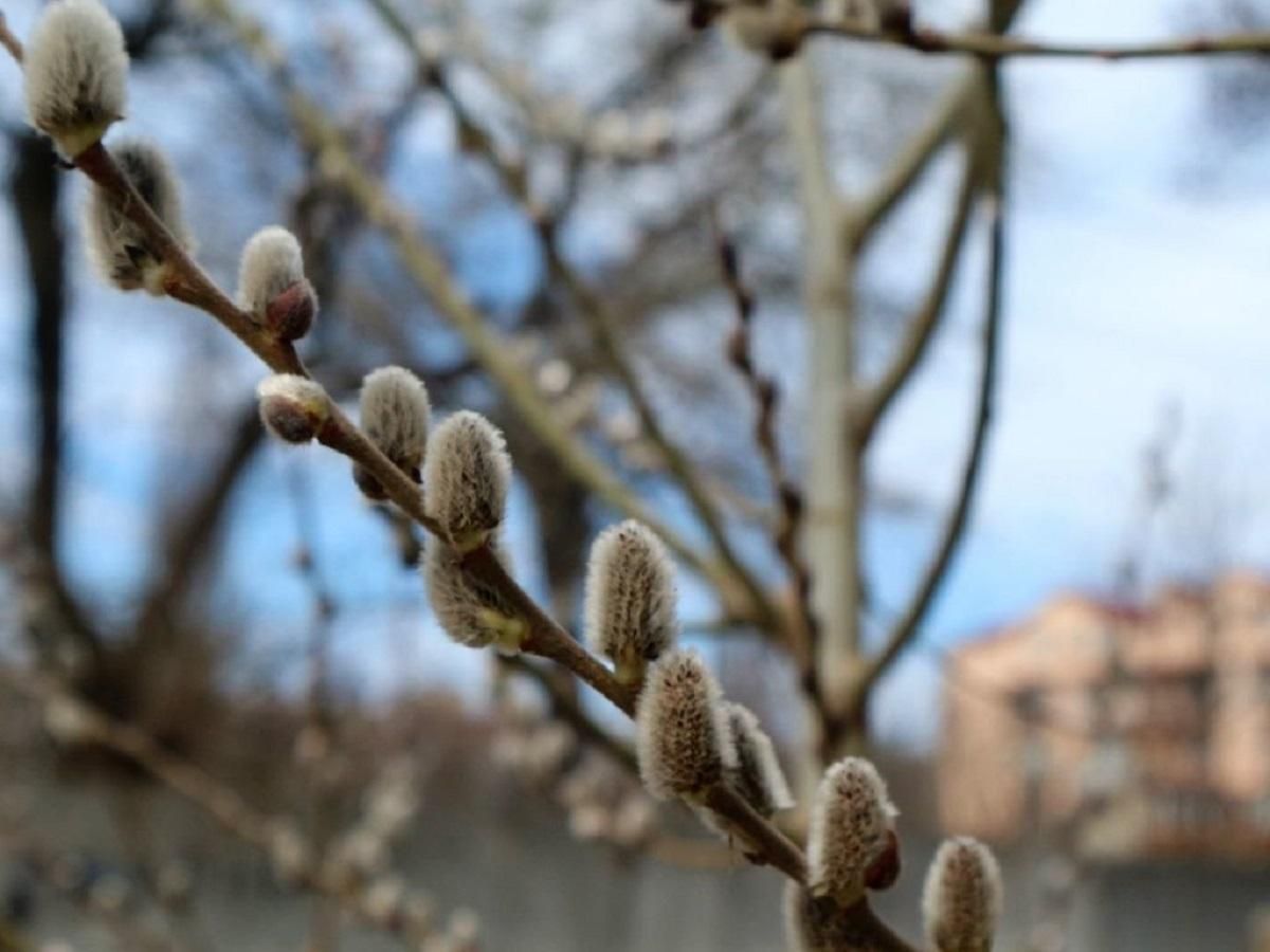 Погода 29 марта 2019 Украина - синоптик обещает весеннее солнце