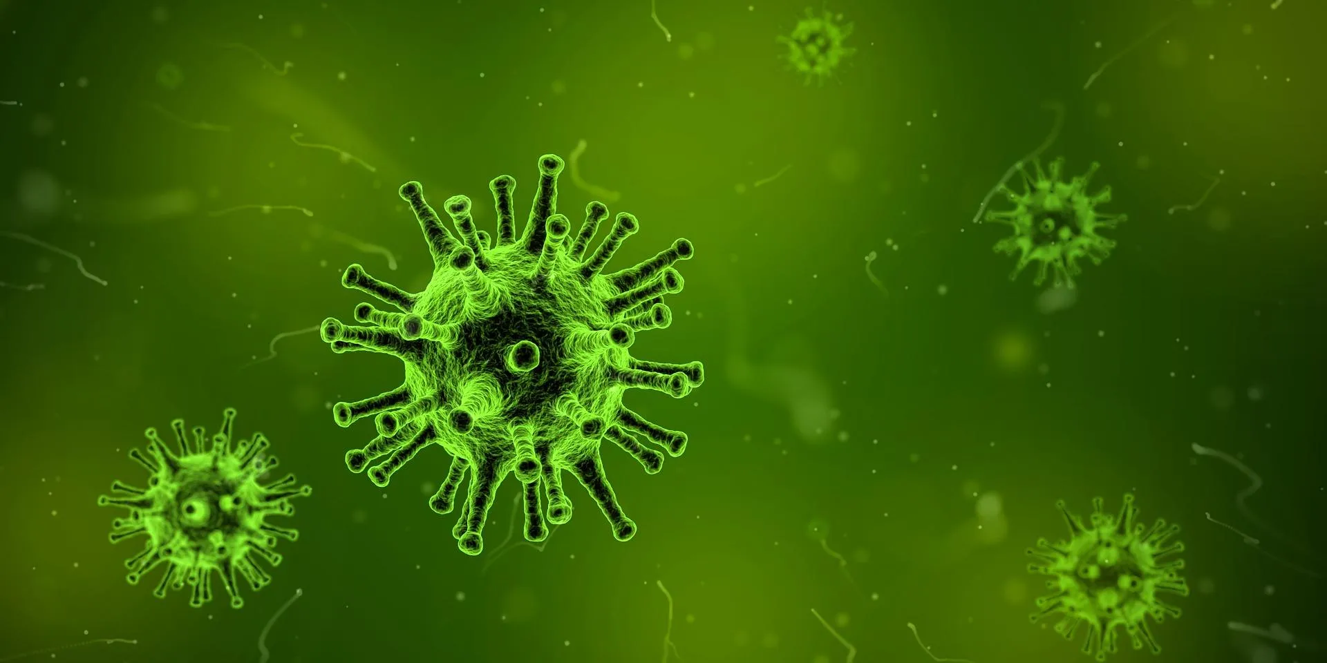 Віруси і бактерії 