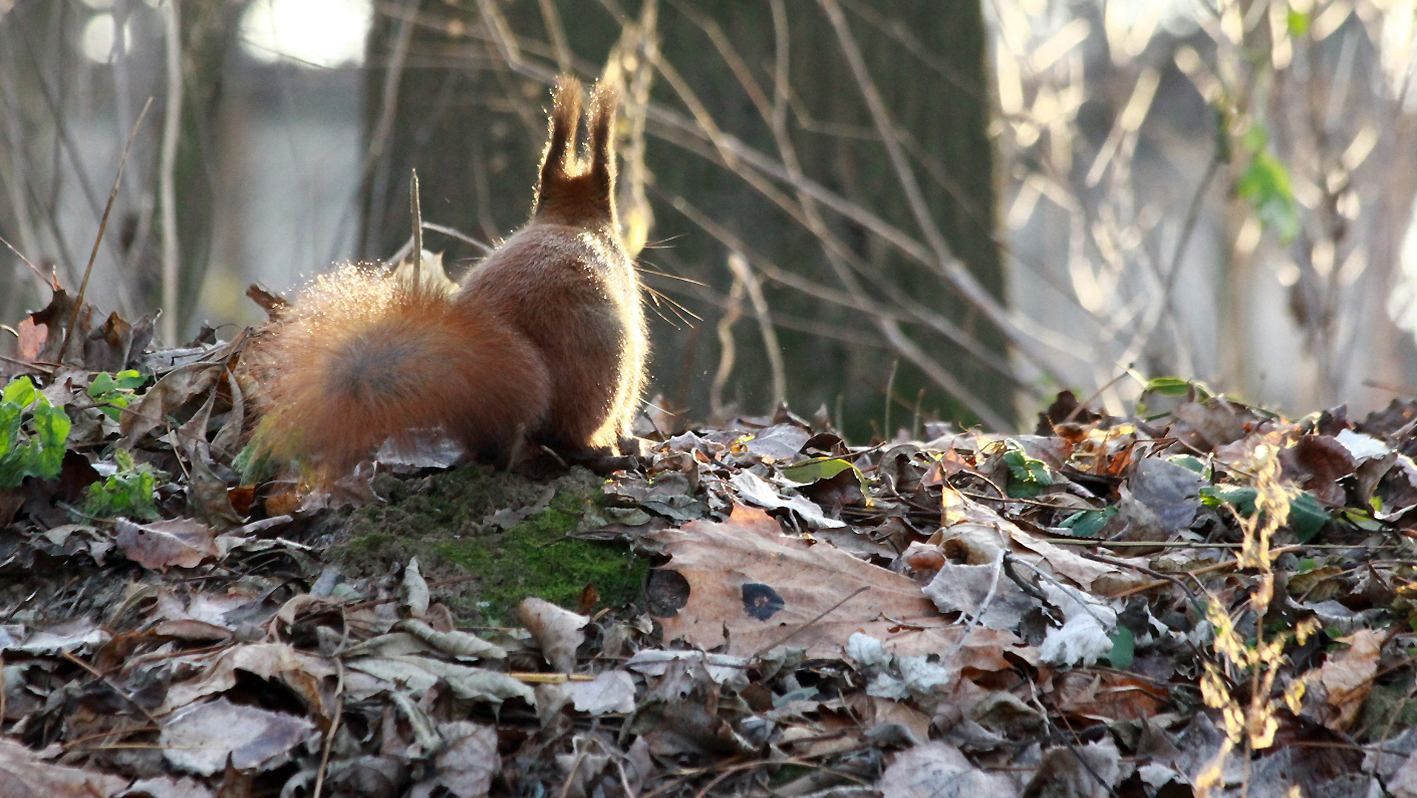 Погода 30 марта 2019 Украина - прогноз погоды синоптика Погода 30 марта 2019 Украина - прогноз погоды синоптика