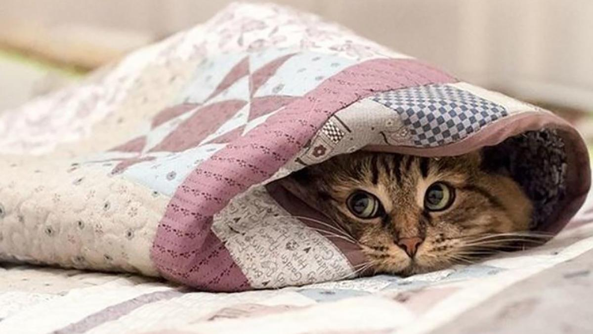 В двух украинских городах уже завершился отопительный сезон