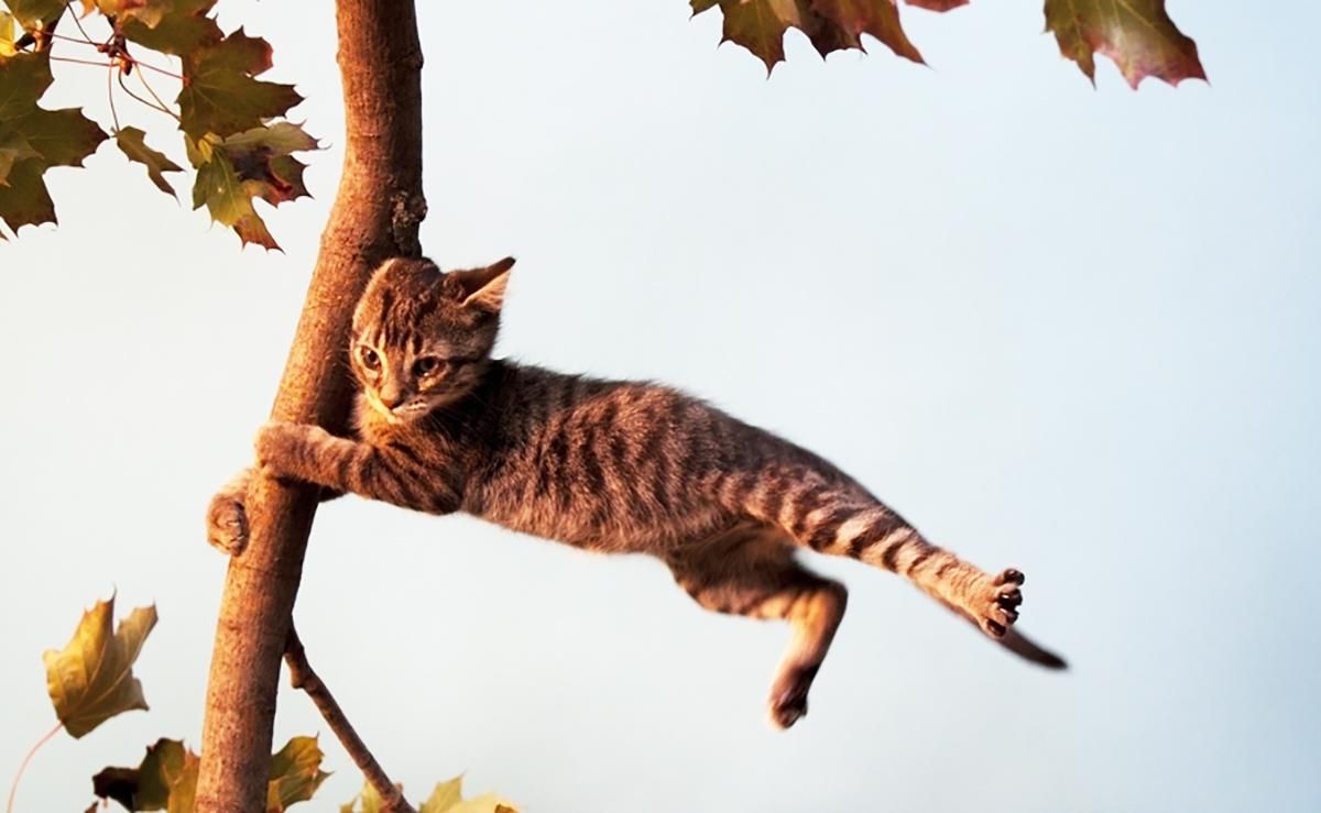 Погода 2 квітня 2019 Україна - сонячно, але вітряно Погода 2 квітня 2019 Україна - сонячно, але вітряно