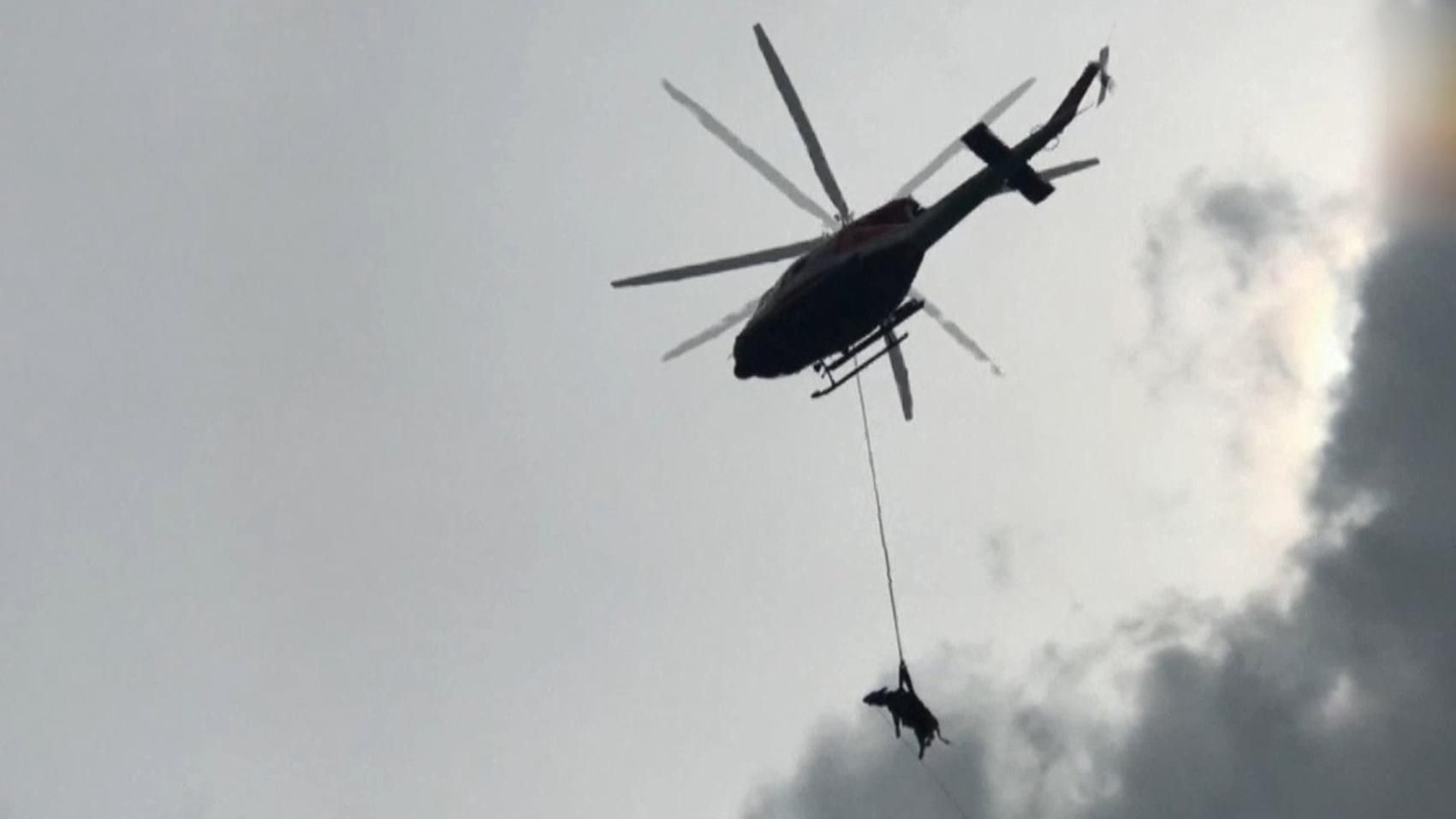 Літаючу корову зафіксували на італійській Сардинії: вражаюче відео Літаючу корову зафіксували на італійській Сардинії: вражаюче відео