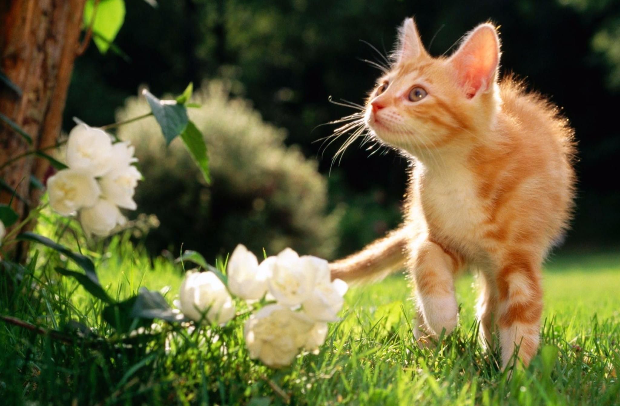 Погода 4 апреля 2019 Украина - тепло, солнечно, но возможен дождь со снегом Погода 4 апреля 2019 Украина - тепло, солнечно, но возможен дождь со снегом