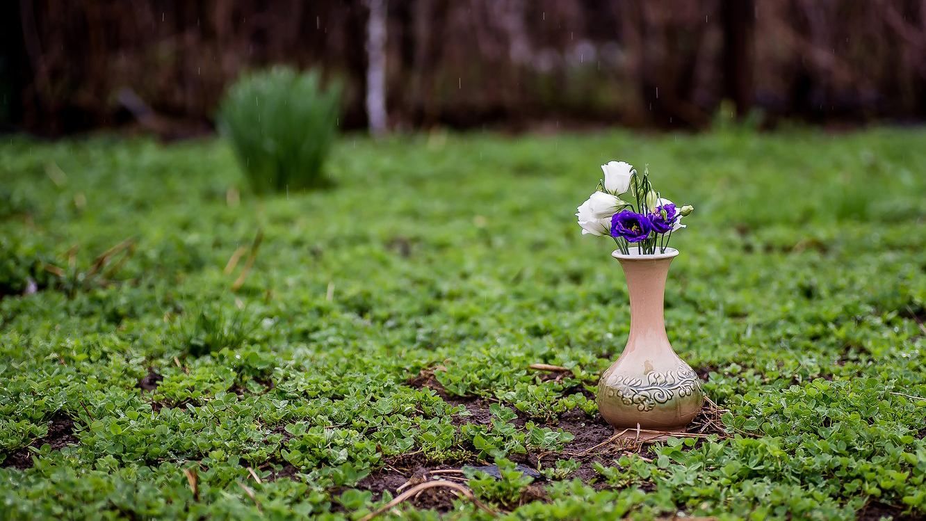 Прогноз погоды на 8 апреля 2019 Украина - синоптик Прогноз погоды на 8 апреля 2019 Украина - синоптик