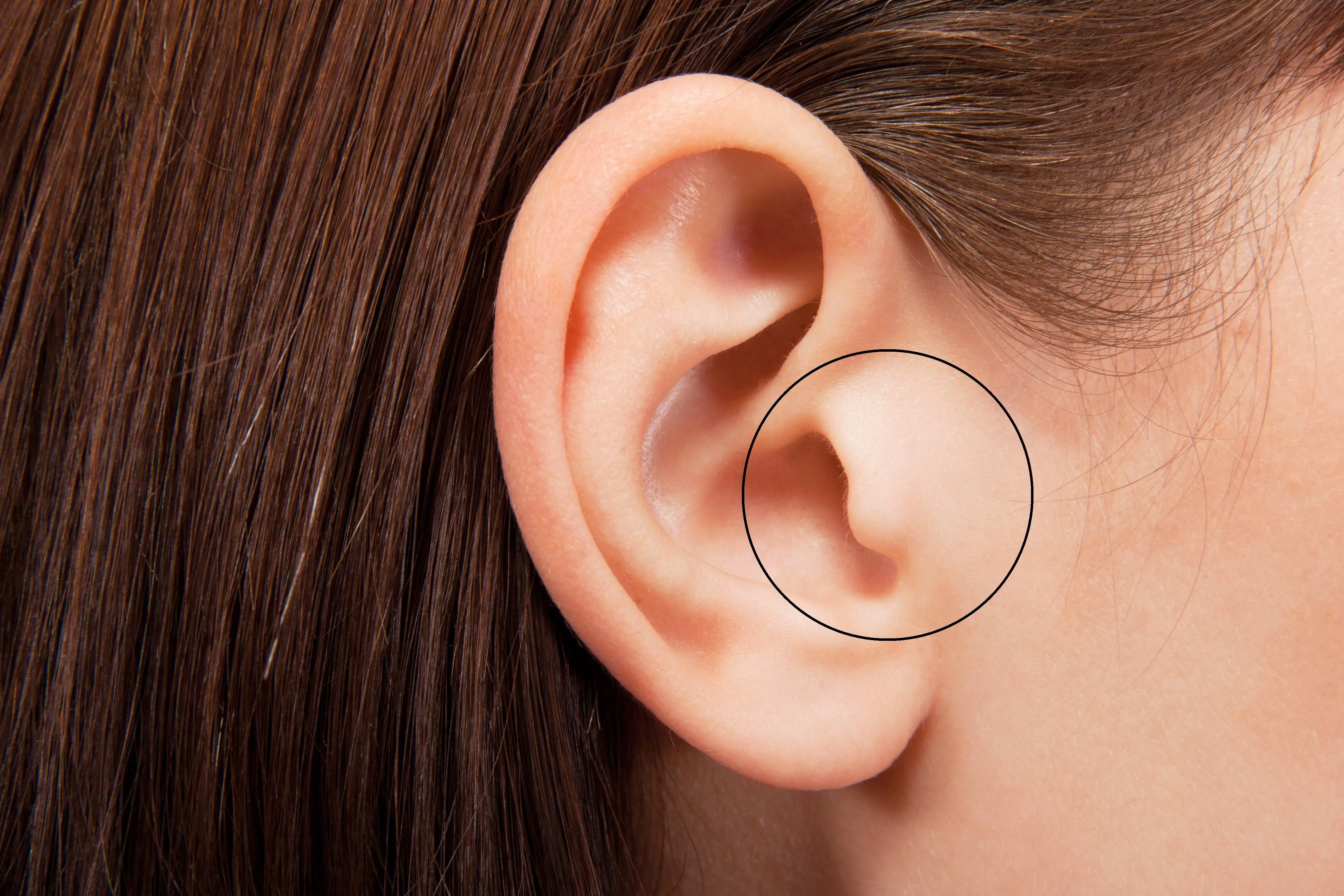 Щоб позбутися закладеності вух необхідно натиснути на козелок поспіль кілька разів