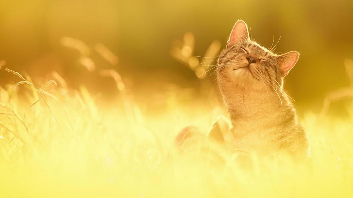  Погода 6 апреля 2019 Украина - прогноз погоды синоптика