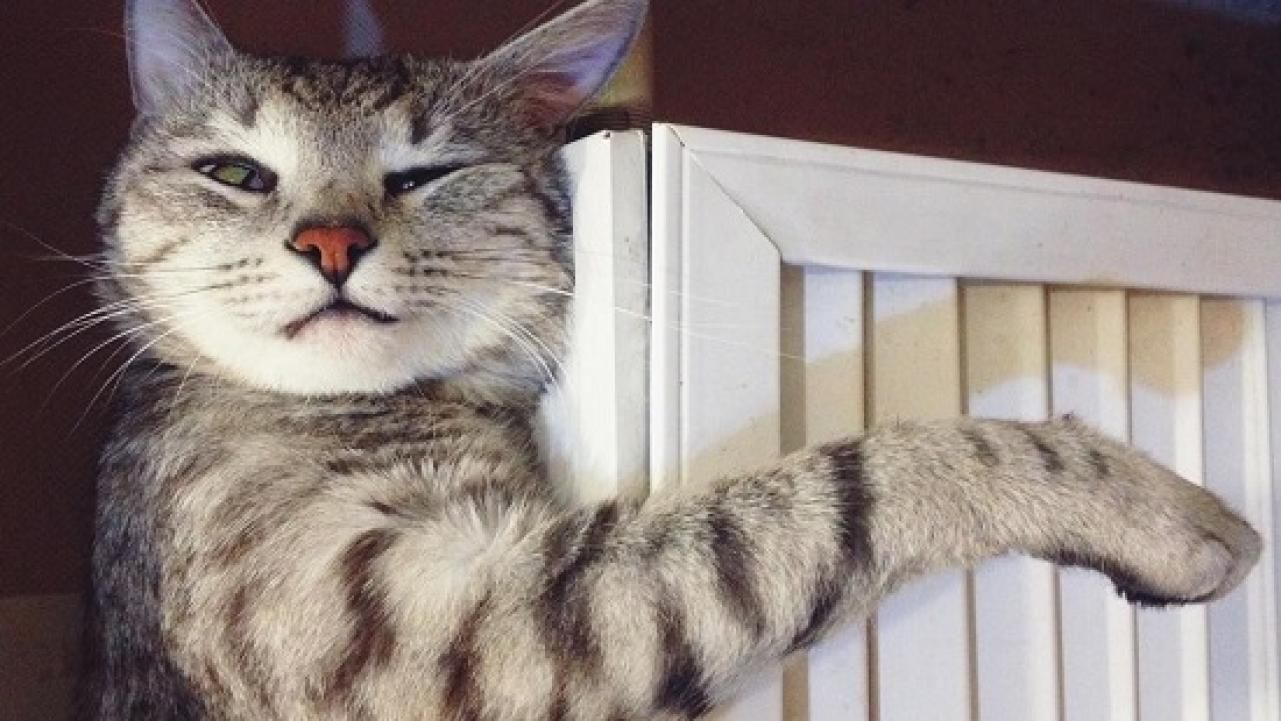 У Києві почали відключати батареї від опалення У Києві почали відключати батареї від опалення