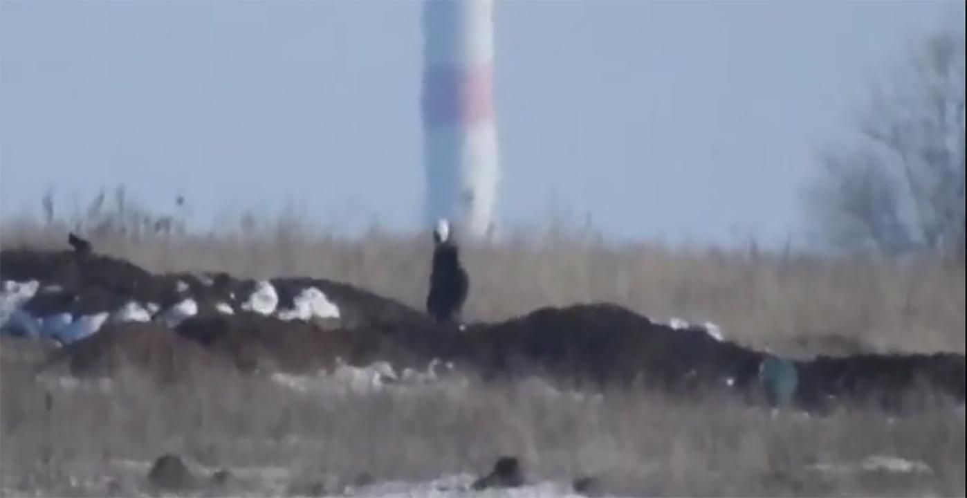 Снайпер ВСУ ликвидировал вражеского боевика в Донбассе: видео 18+ Снайпер ВСУ ликвидировал вражеского боевика в Донбассе: видео 18+