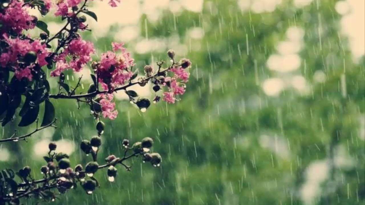 Погода 10 апреля 2019 Украина - прогноз погоды синоптика