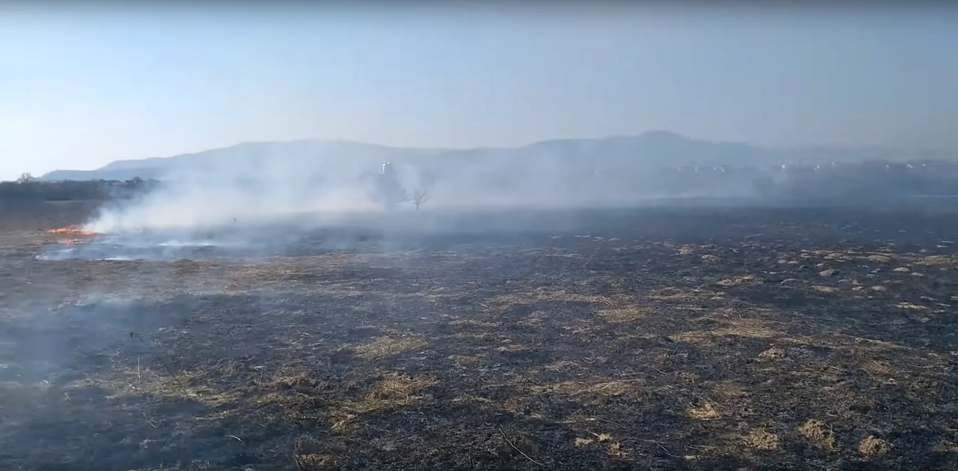 Долина нарцисів горить