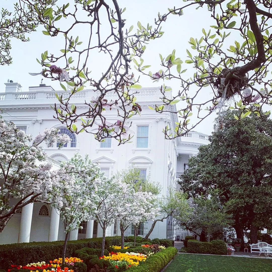 Іванка Трамп показала красу Білого дому