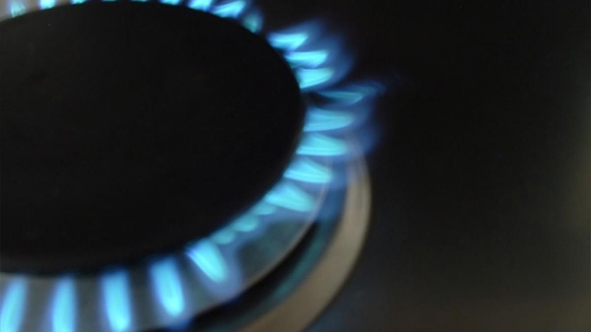 На Львівщині від чадного газу померла дитина: у димовому каналі знайшли птаха На Львівщині від чадного газу померла дитина: у димовому каналі знайшли птаха