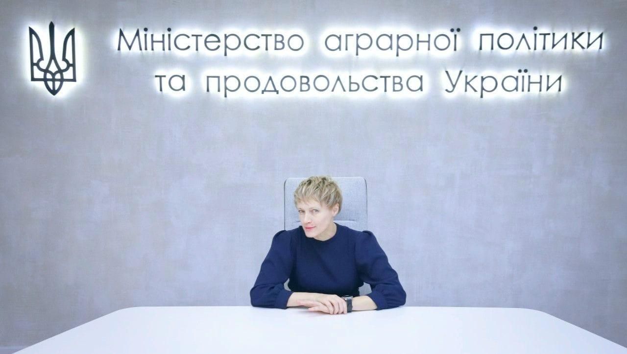 Рынок земли в Украине: в правительстве рассказали, как планируют его запускать Рынок земли в Украине: в правительстве рассказали, как планируют его запускать