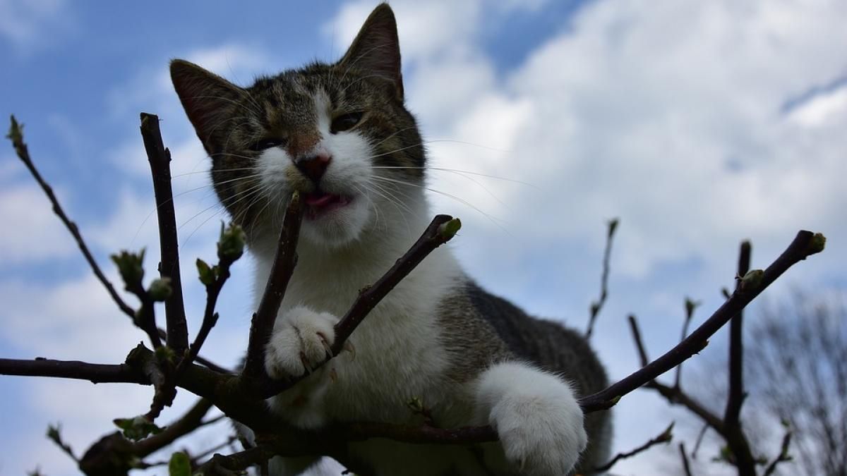 Погода 13 апреля 2019 Украина - прогноз погоды синоптика Погода 13 апреля 2019 Украина - прогноз погоды синоптика