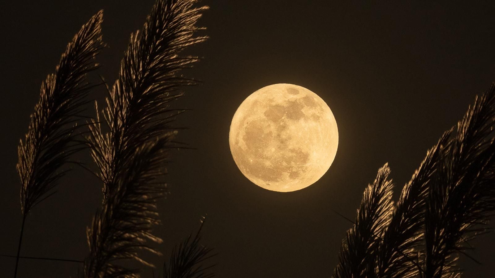 Як виглядає поверхня Місяця: неймовірні фото зонда Beresheet
