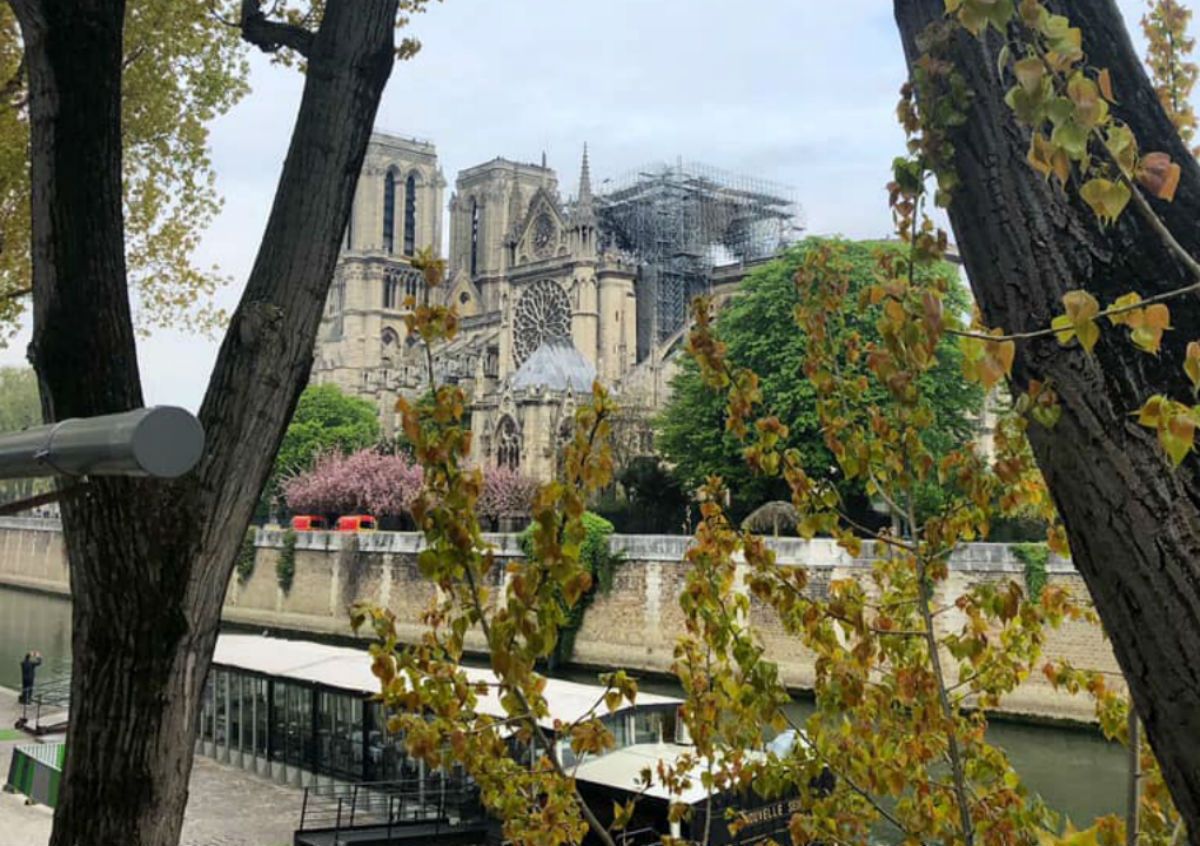Пожар в Нотр-Даме: какие выводы сделала Украина Пожар в Нотр-Даме: какие выводы сделала Украина