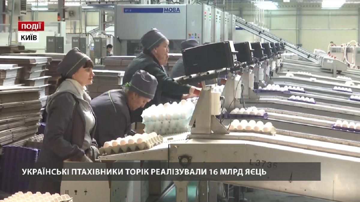 Украинские птицеводы в прошлом году реализовали 16 миллиардов яиц