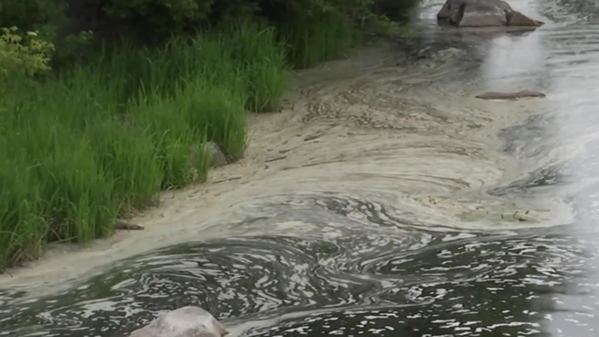 Гибель всей рыбы и клейкое вещество в водоеме: загрязнение реки на Житомирщине