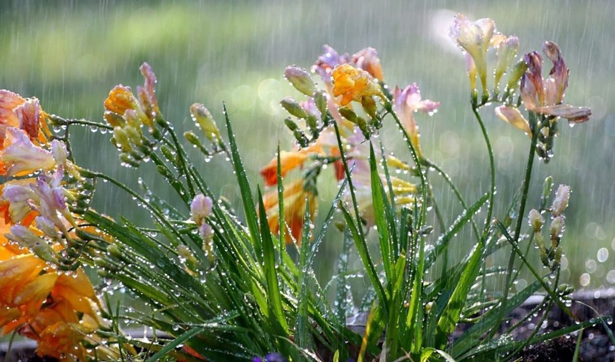 Еврейские кучки 2019 - погода в Украине с 15 по 20 апреля 2019 от синоптика Еврейские кучки 2019 - погода в Украине с 15 по 20 апреля 2019 от синоптика