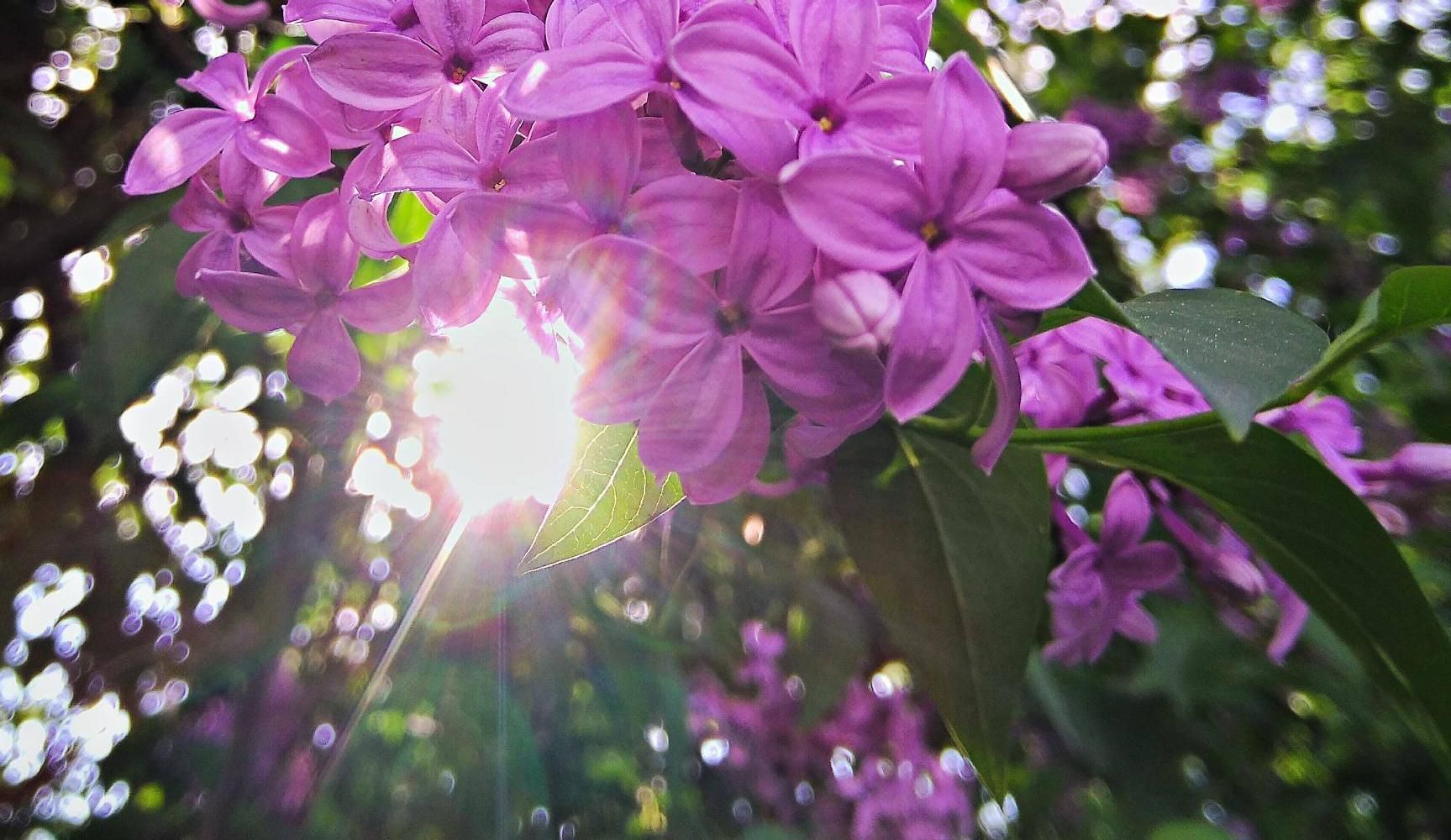 Погода 18 апреля 2019 Украина - какую погоду обещает синоптик Погода 18 апреля 2019 Украина - какую погоду обещает синоптик