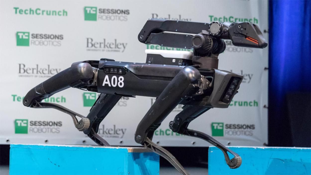 На что способна "упряжка" четвероногих роботов Spot: захватывающее видео
