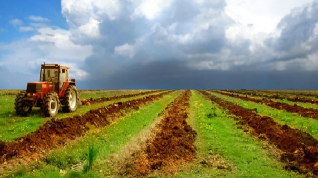 Експерти озвучили схеми землекористування в умовах "тіньового" ринку Експерти озвучили схеми землекористування в умовах "тіньового" ринку