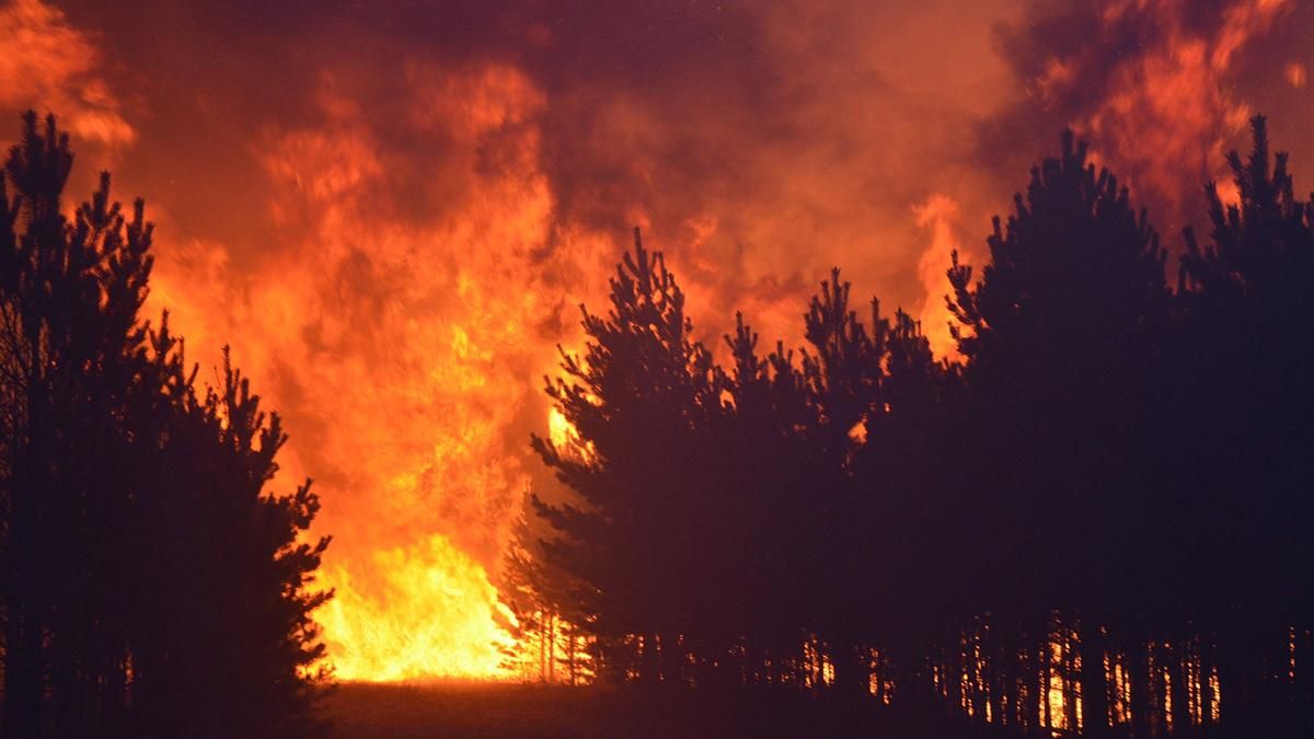 Хлопці пішли на барбекю і спалили ліс: студентів оштрафували на 15 мільйонів доларів Хлопці пішли на барбекю і спалили ліс: студентів оштрафували на 15 мільйонів доларів
