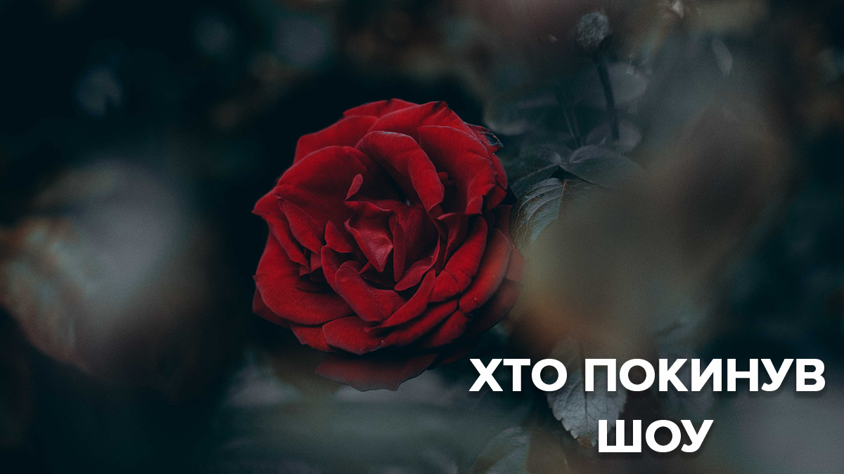 Холостяк 9 сезон 7 випуск - дивитися онлайн хто пішов 19.04.2019
