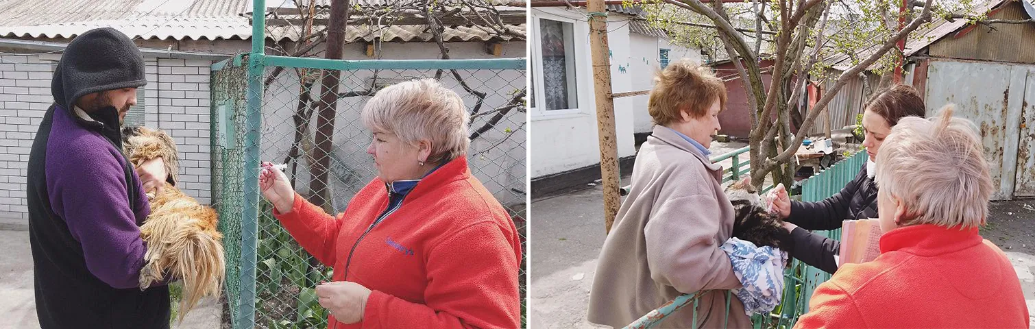 Бердянськ, сказ, вакцини, тварини, карантин Бердянськ, сказ, вакцини, тварини, карантин